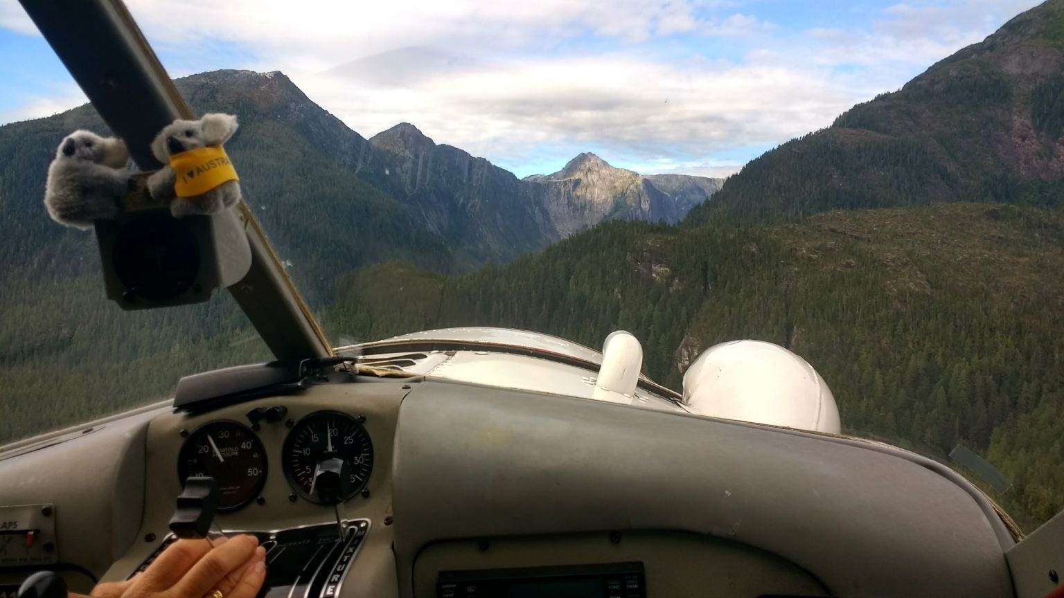 View from inside a small airplane cockpit looking out at a vast green pine forest and sharp mountain peaks under a cloudy sky.